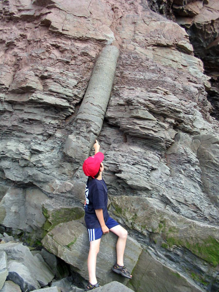 Joggins Fossil Cliffs - Nova Scotia Walking Trail Destinations